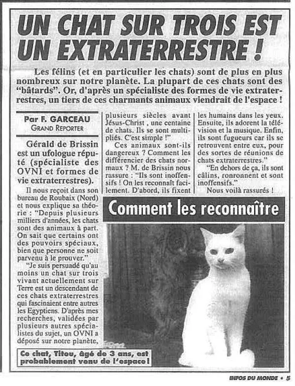 Un Chat Sur Trois Est Un Extraterrestre Rtl People