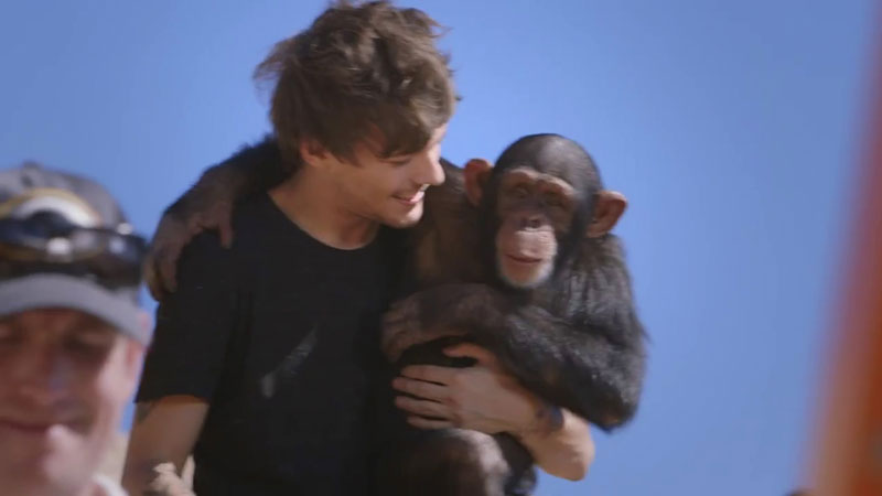 One Direction Le Groupe Accuse D Avoir Maltraite Un Singe Dans Leur Dernier Clip Photos Rtl People