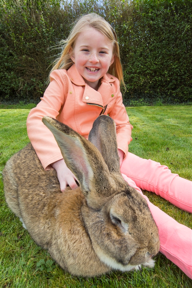 Voici Darius Le Plus Grand Lapin Du Monde Et Son Fils Jeff Pret A Le Depasser Photos Rtl People