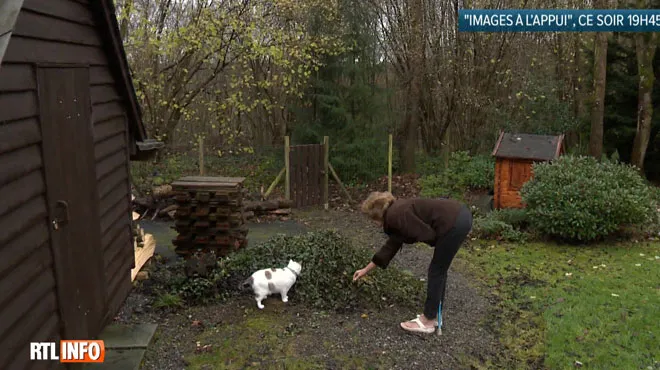 Le Chat De Myriam Tué Par Des Chiens De Chasse Cest Une