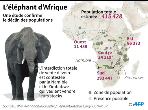 En Afrique, la population des éléphants est au plus bas depuis 25 ans