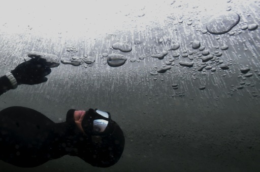 Johanna Nordblad, une sirène dans l'eau glacée - RTL sport