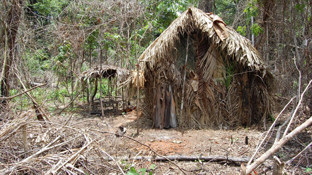 Cet homme qui vit seul en Amazonie depuis 22 ans est le dernier survivant de sa tribu ! Par Justine B. 5944503