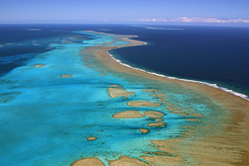   New Caledonia enhances the protection of its coral reefs 