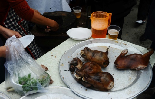   Vietnam: Hanoi residents asked not to eat dog meat
"title =" Vietnam: Hanoi residents asked not to eat dog meat
"/> 

<p> Pork is traditionally accompanied by rice wine or beer, and residents of Hanoi are advised not to eat it. HANG DINH NAM </p>
</p></div>
<div id=