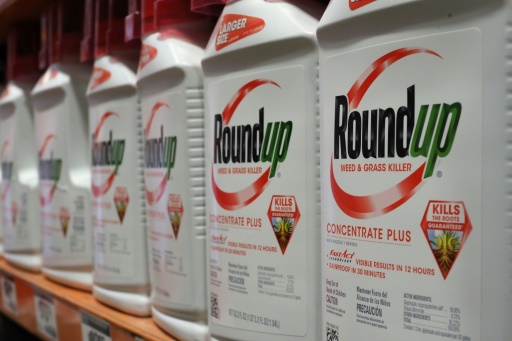   The United States is in favor of a slim decision on a clove of glyphosate 