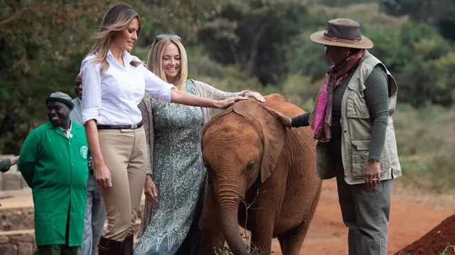 Melania Trump En Tournee En Afrique Se Fait Bousculer Par Un Bebe Elephant Video Rtl People