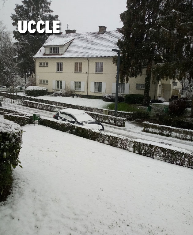 uccle