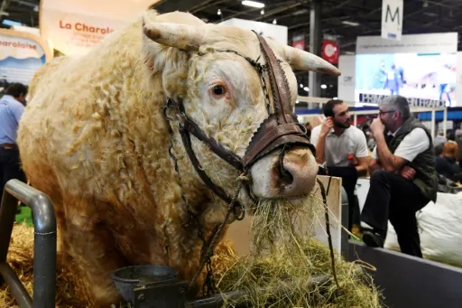 Ce Qu Il Faut Retenir Du Salon De L Agriculture Rtl Info