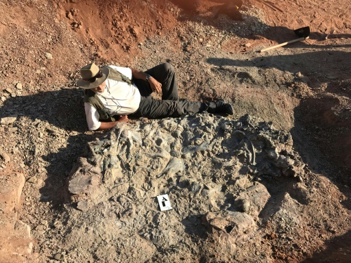 Argentina: Discovery of a 220 million year old dinosaur cemetery