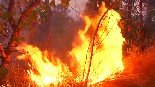 La Foret Amazonienne En Feu La Deforestation En Juillet A Ete Quasiment Quatre Fois Superieure Au Meme Mois De 18 Rtl Info