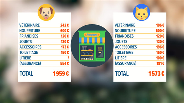 Chiens Vs Chats Combien Nous Coûtent Nos Animaux De