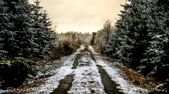 Previsions Meteo La Neige Va T Elle A Nouveau Tomber Cette Semaine Rtl Info