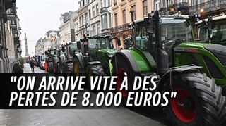 En colère, les éleveurs de porcs flamands défilent avec leurs tracteurs et créent des embarras de circulation à Bruxelles (photos)