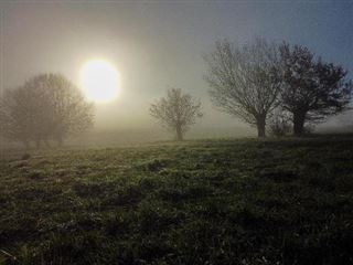 Brouillard nocturne en perspective en Ardenne