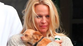 Pamela Anderson est devenue promeneuse de chiens 5
