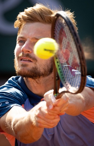 ATP Rosmalen - Forfait de David Goffin et Marin Cilic