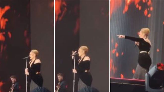 Adele interrompt brusquement son concert pour venir en aide à une personne en détresse dans le public (vidéo)