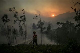 Le Portugal combat de nouveaux feux de forêt favorisés par le retour de la chaleur