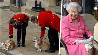 Elizabeth II- ses chiens adorés étaient à ses côtés au moment de son décès