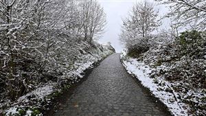 Prévisions météo: voici quand la neige devrait réapparaître en Belgique
