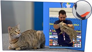 Un chat s'invite sur le pupitre de Vinicius... et se fait éjecter sans pitié par un attaché de presse (vidéo)