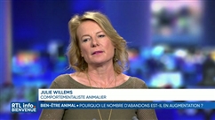 Focus sur les abandons d'animaux de compagnie avec Julie Willems