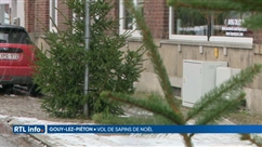 Vol de 10 sapins de Noël installés en rue par la commune à Gouy-lez-Piéton