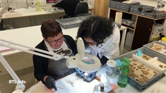 Des bénévoles apportent leur aide au Préhistomuseum de Flémalle