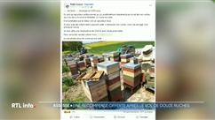 Un apiculteur d'Assesse offre une récompense pour retrouver ses ruches volées