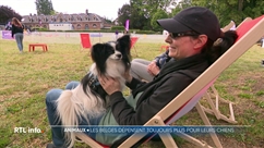 Les "Dogs Days" ont lieu ce week-end au château de Louvignies