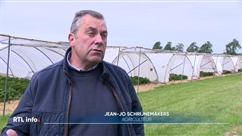 La pluie est de retour, pour le grand soulagement des agriculteurs