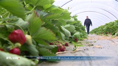 La pluie est de retour, pour le grand soulagement des agriculteurs