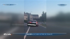 Victoria assiste à une scène choquante : un chien traîné par une voiture