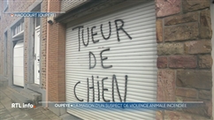 Chien trainé derrière une voiture: la maison du propriétaire a été incendiée