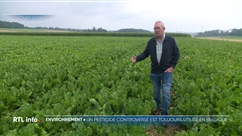 Le pesticide au coeur de la loi Duplomb est utilisé en Belgique