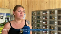 Des agriculteurs installent des distributeurs pour vendre leurs produits