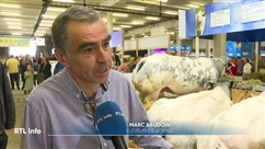 A Libramont, les agriculteurs redoutent la réforme de la PAC