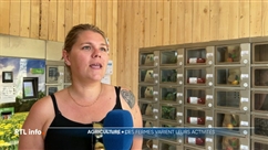 Des agriculteurs installent des distributeurs pour vendre leurs produits